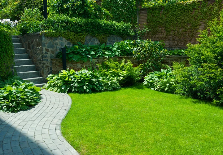 Soft & Hard Landscaping