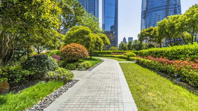 Commercial Landscaping