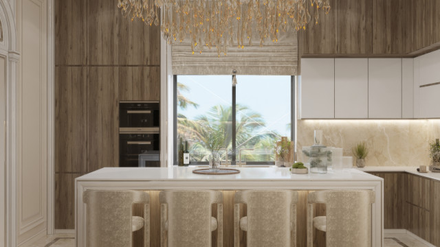 Contemporary Kitchen  Design