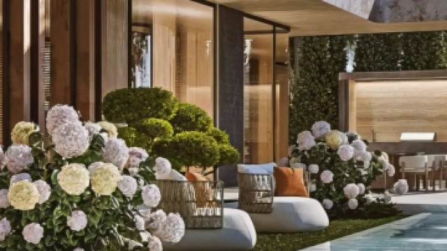 Exclusive house design