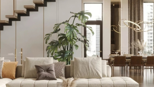 Superb Apartment Interior Design