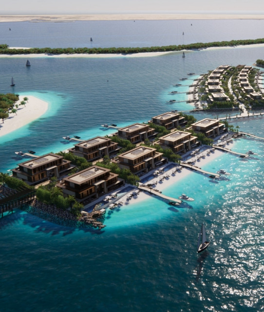 Проект роскошного дома