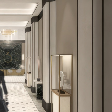 Luxury Designs for Elevators and Full Installation Execution Services