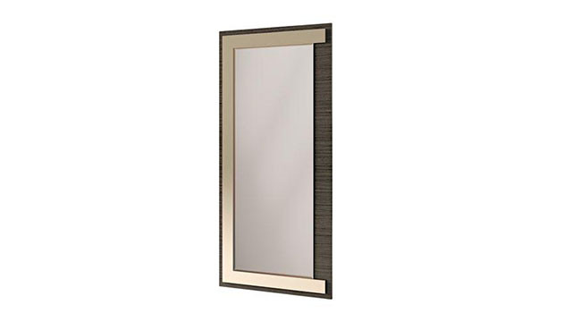 Elegant Mirror