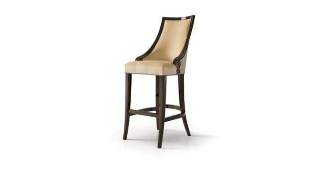 Elegant Bar Stool