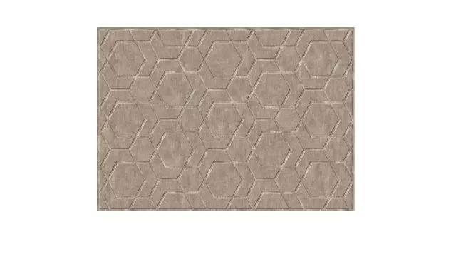 Artistic Design Beige Carpet